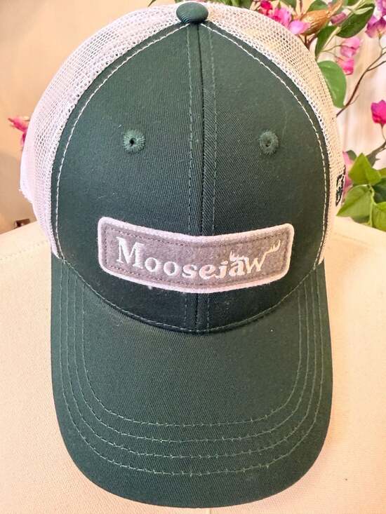 Moosejaw Other - Moosejaw Trucker Hat Green White Patch Snapback Cap